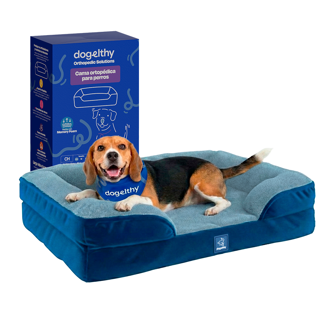 Tamaño=Mediana Color=Azul