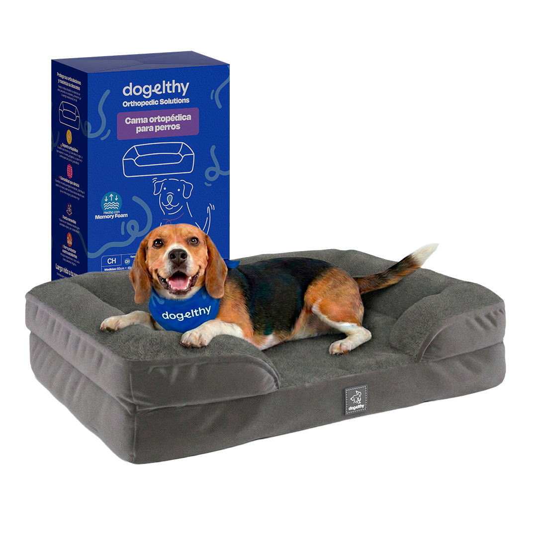 Tamaño=Mediana Color=Gris