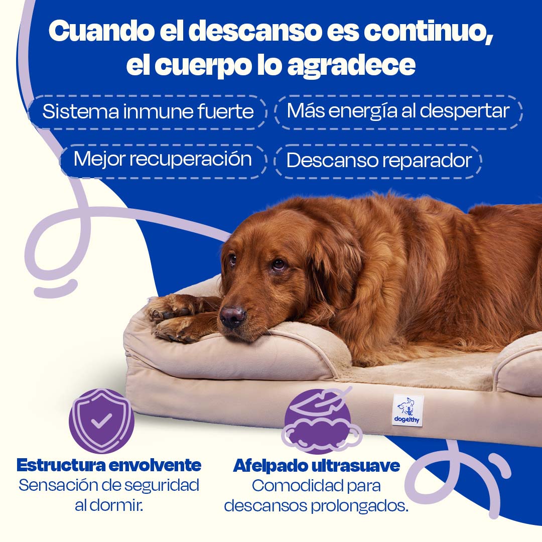Cama Ortopédica para perros de Memory Foam para la Salud Articular