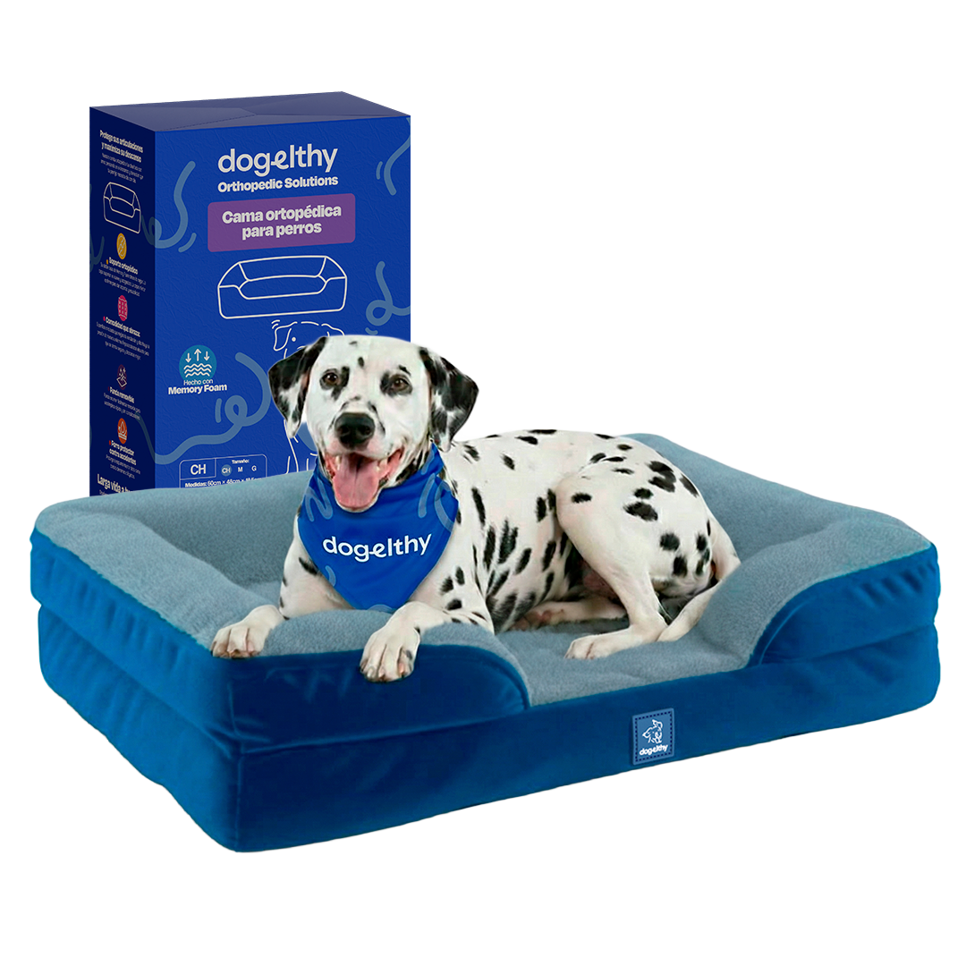 Tamaño=Grande Color=Azul