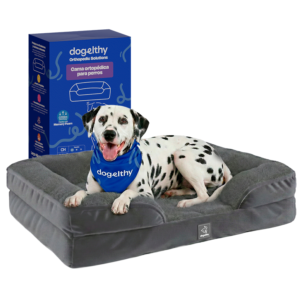 Tamaño=Grande Color=Gris