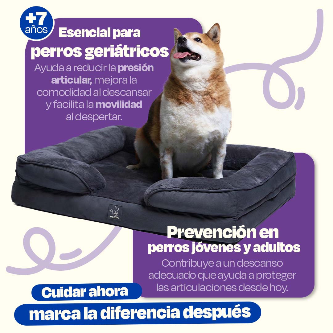 Cama Ortopédica para perros de Memory Foam para la Salud Articular