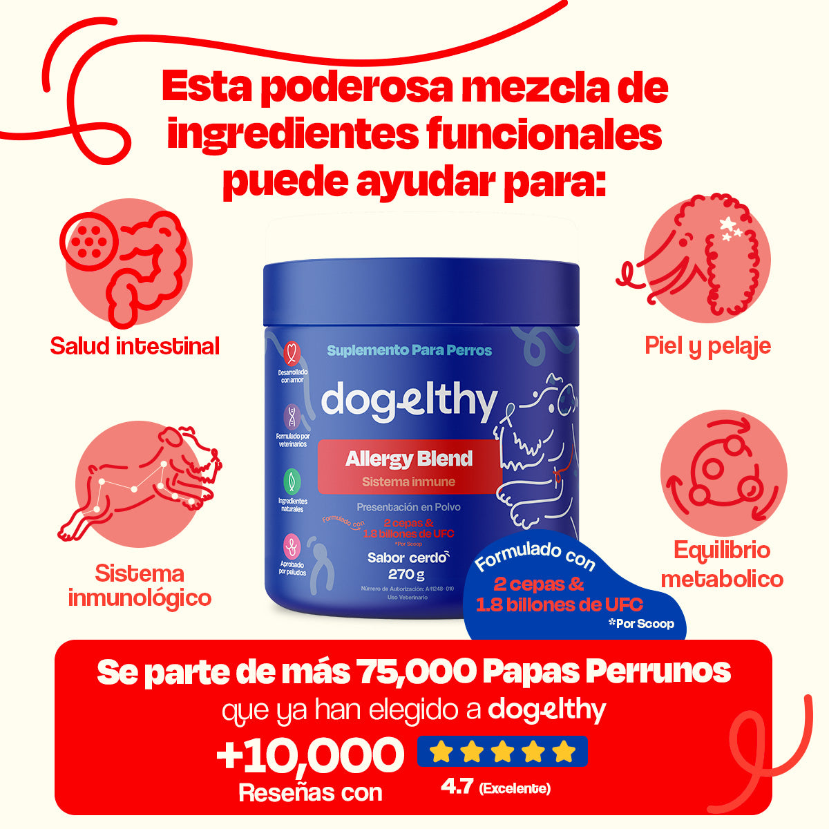 Suplemento para Alergias De Perro 