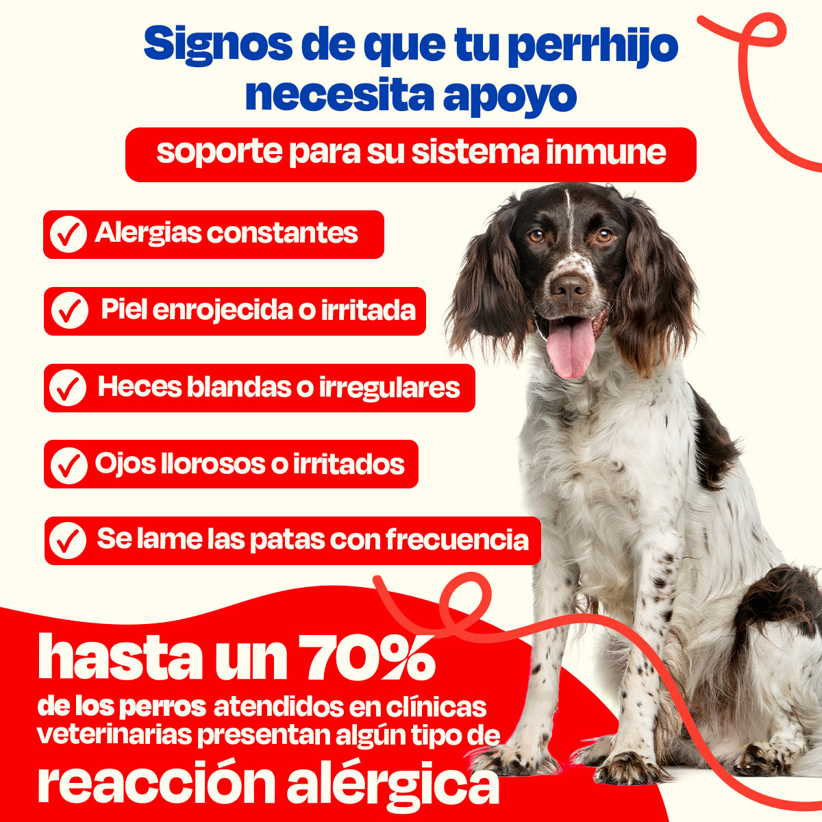 Suplemento para Alergias De Perro