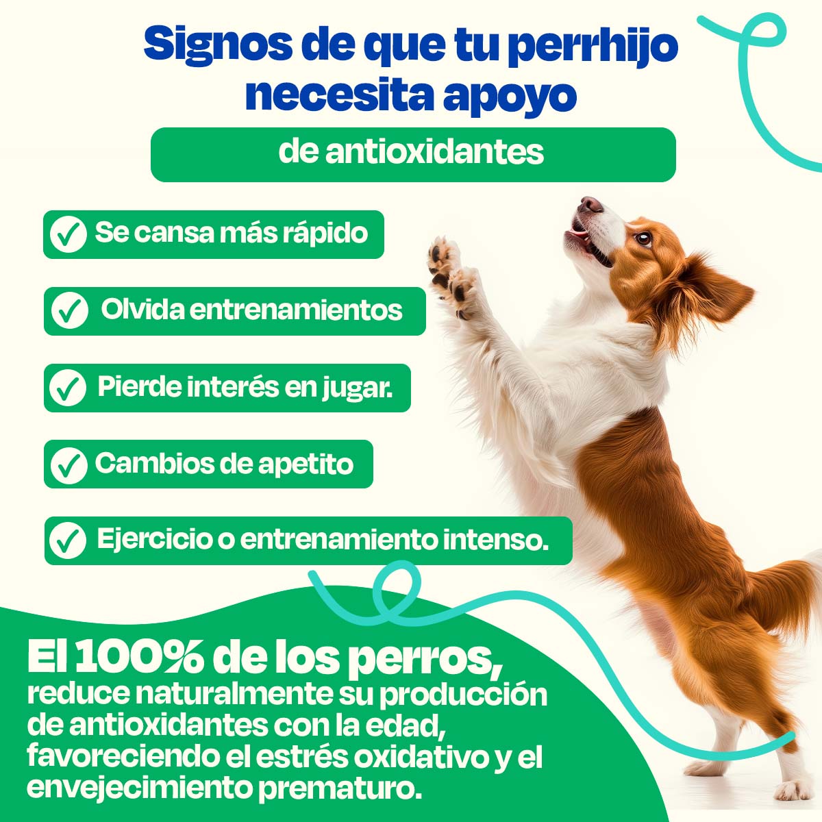 Antioxidante para Perros - Antiox Blend