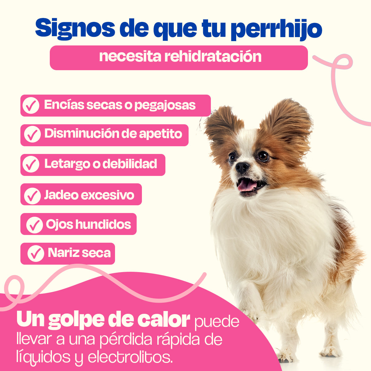 Electrolitos para Perros (Rinde 4.5 Lts) - Hydration Powder