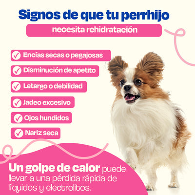 Electrolitos para Perros (Rinde 4.5 Lts) - Hydration Powder