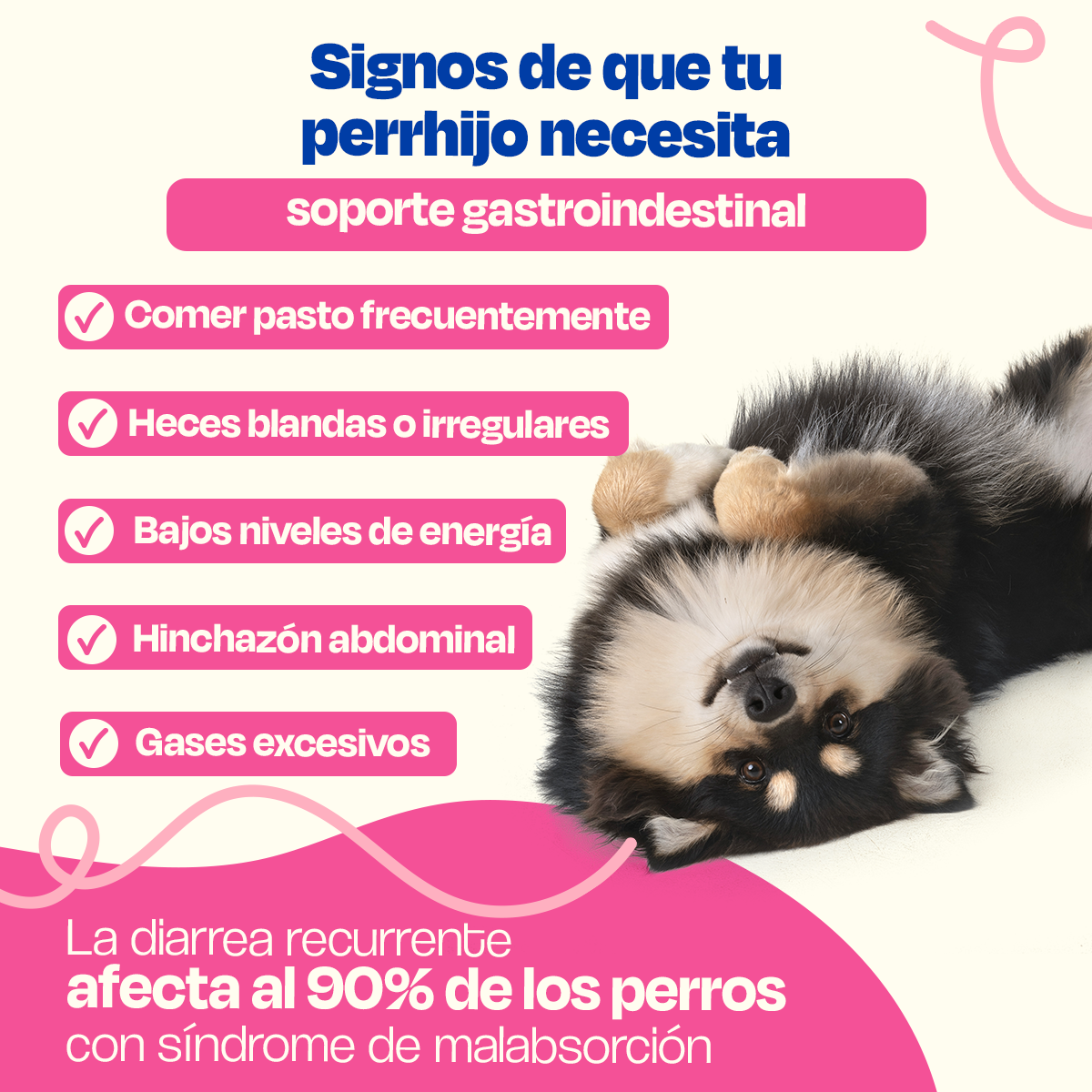 Probióticos para Perros (Tamaño=540 gr Sabor=Cerdo)