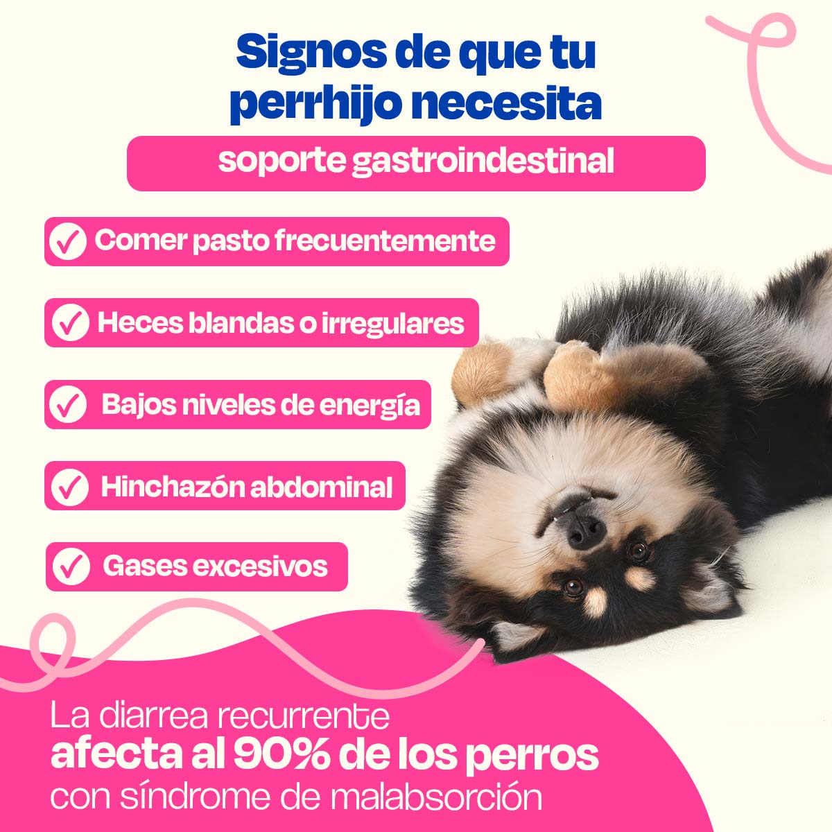 Probióticos para Perros (Sabor=Cerdo)