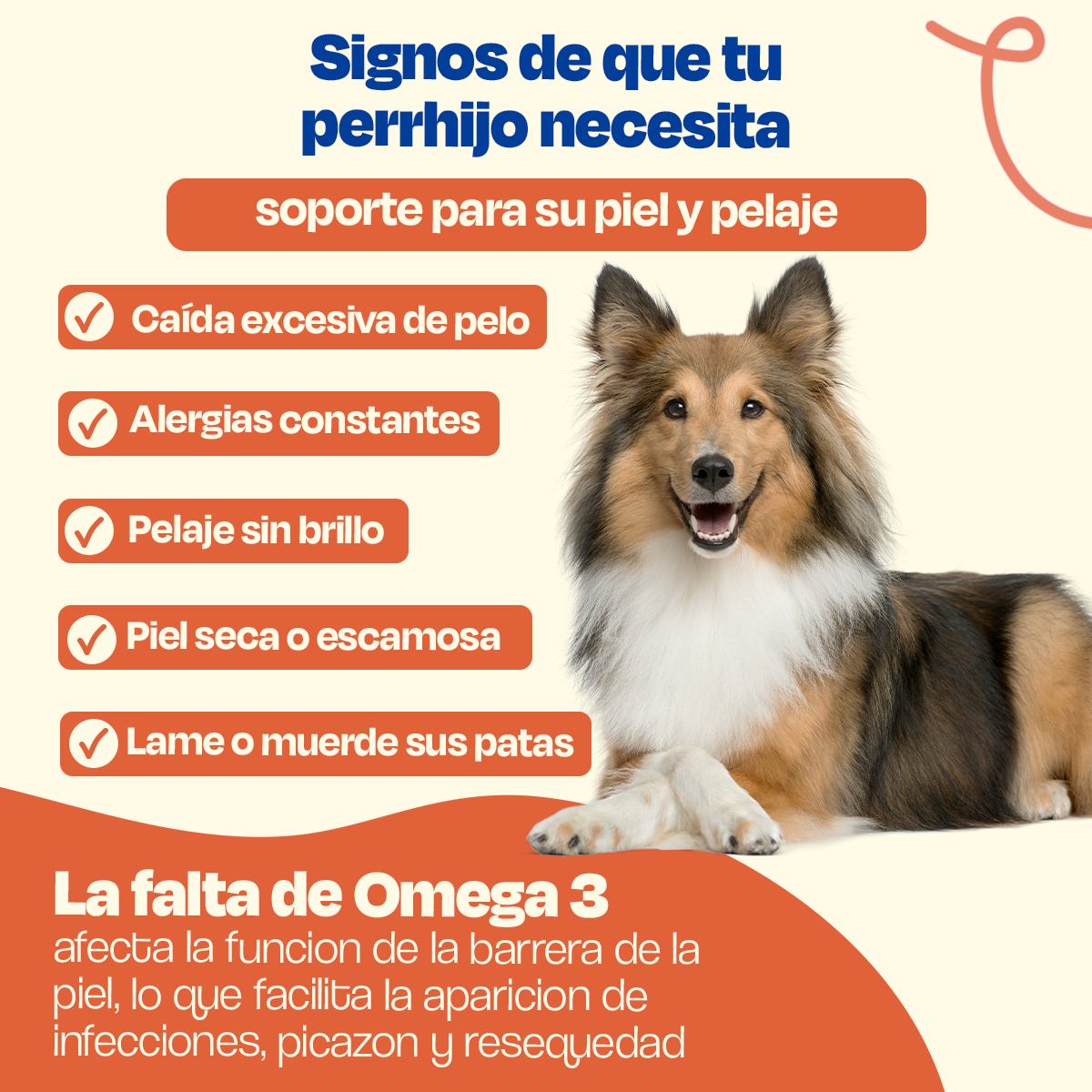 Aceite de Salmón para Perros (Tamaño=900 ml)