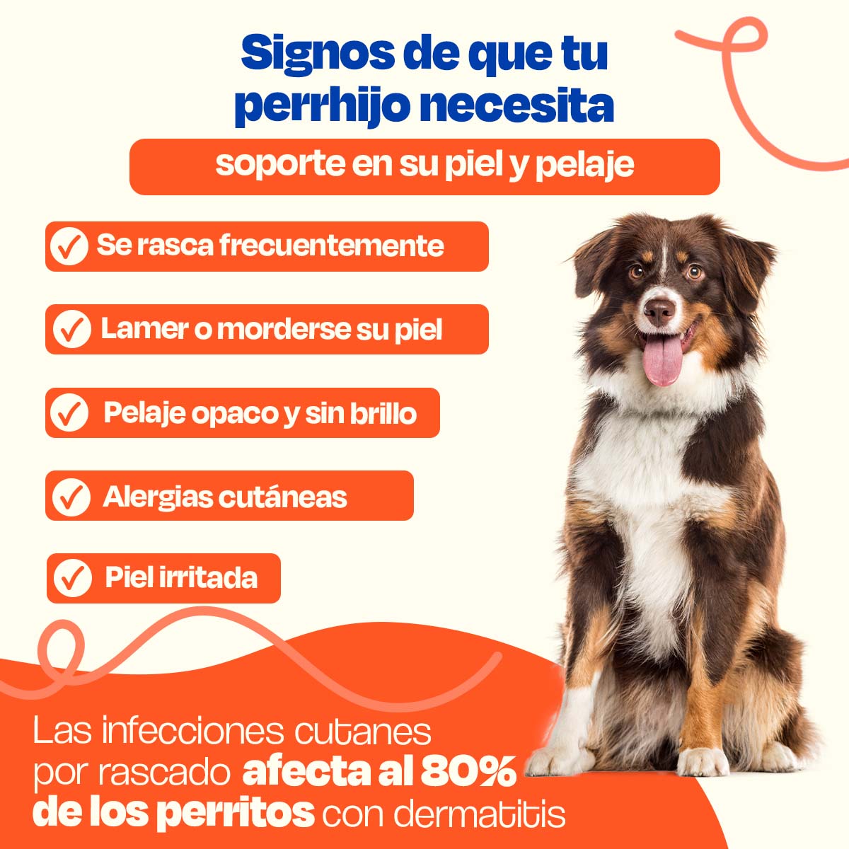 Suplemento para Pelaje y Piel de Perro (Sabor=Cerdo)