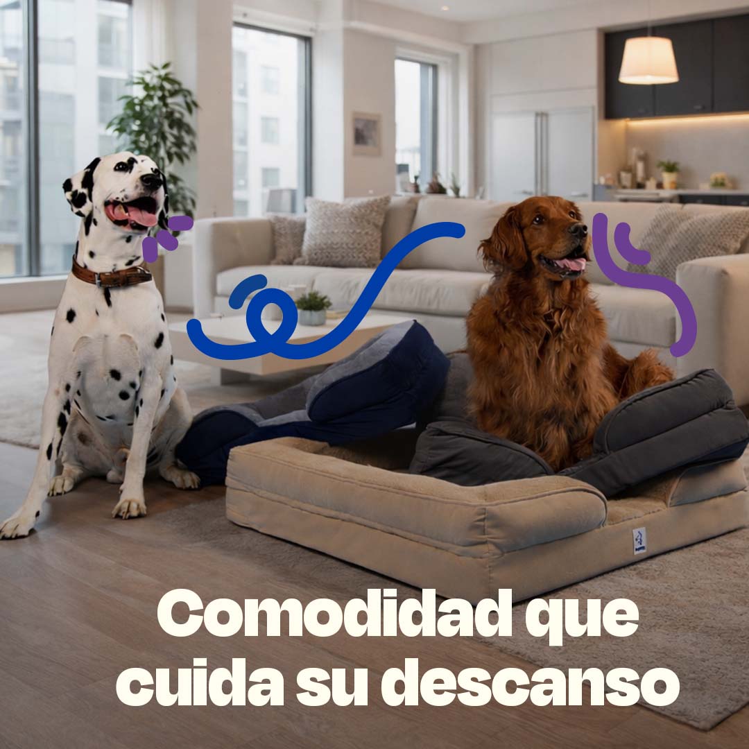 Cama Ortopédica para perros de Memory Foam para la Salud Articular