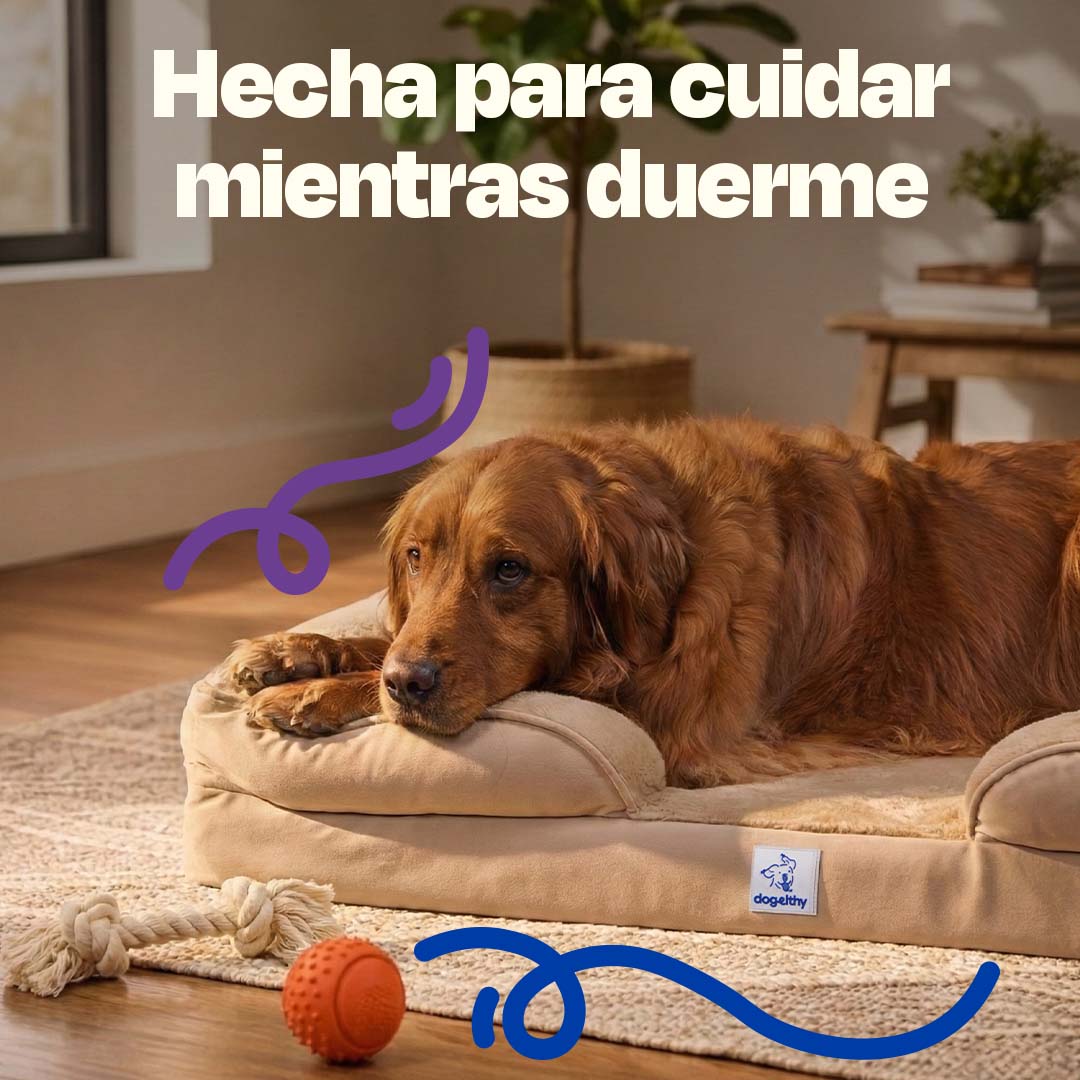 Cama Ortopédica para perros de Memory Foam para la Salud Articular