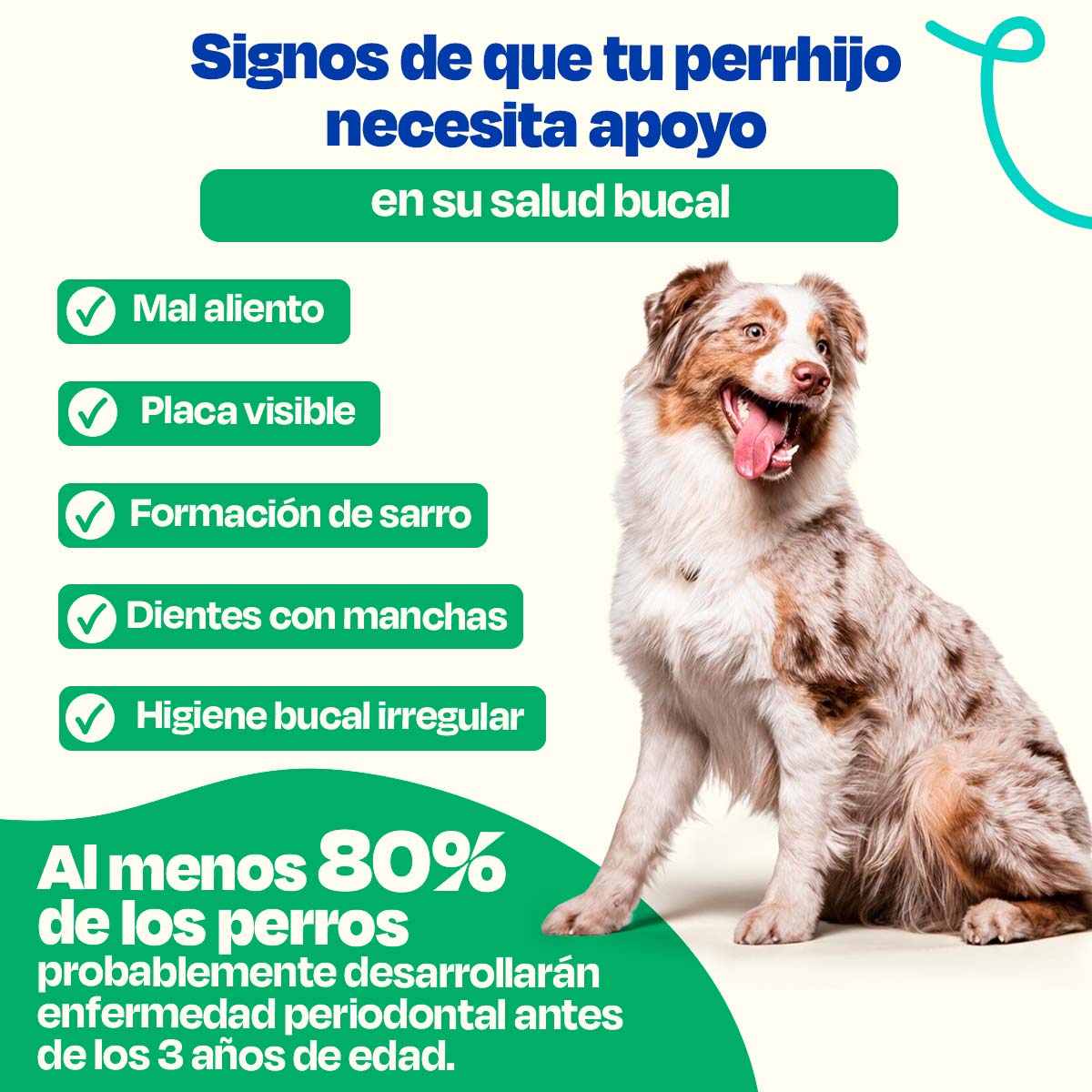 Suplemento para Mal Aliento de Perro (Tamaño=135 gr)