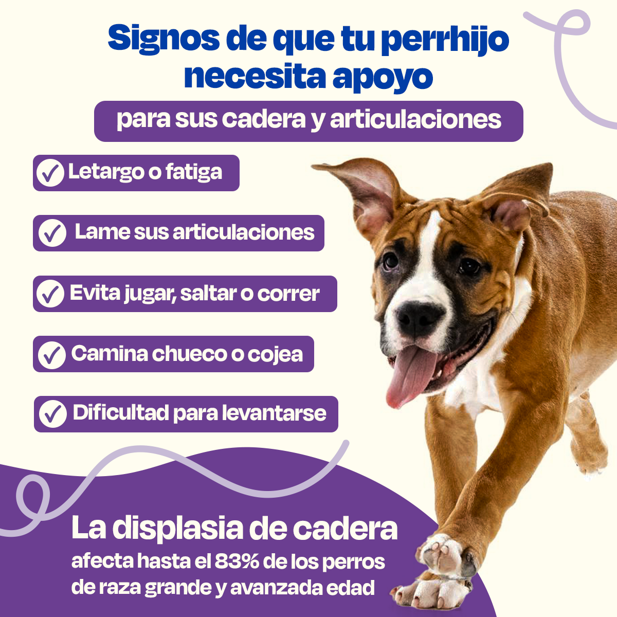 Suplemento para Articulaciones de Perros (Tamaño=549 gr Sabor=Cerdo)