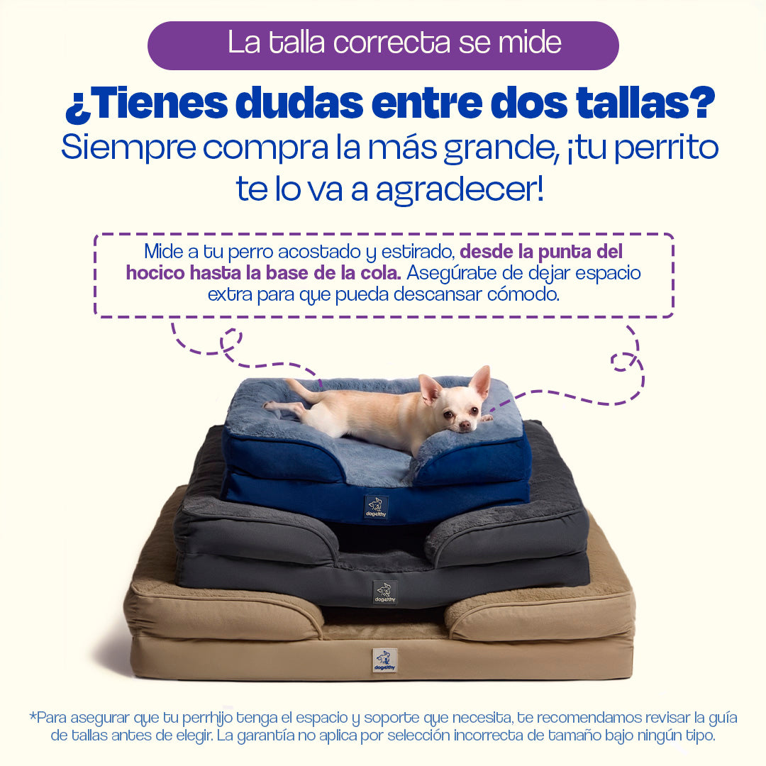 Cama Ortopédica para perros de Memory Foam para la Salud Articular