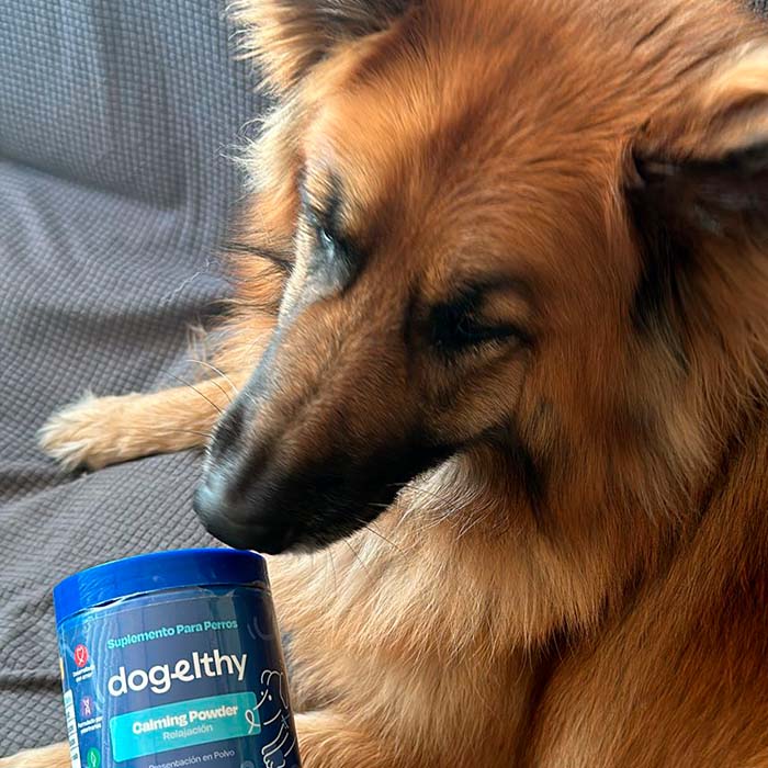 Calming Perros Calmantes naturales para perros Calming Powder | Dogelthy
