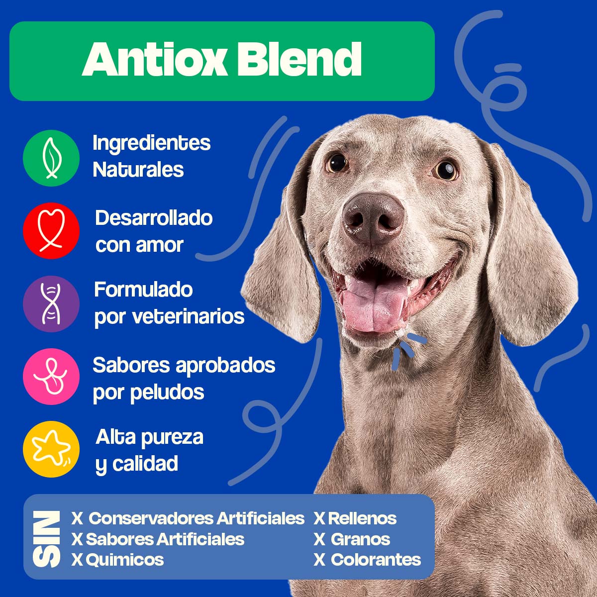 Antioxidante para perros