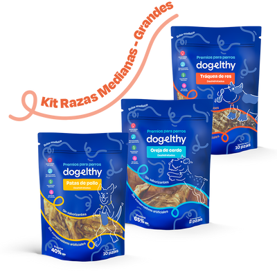 Kit de 3 Premios Deshidratados para Perros de Razas Grandes