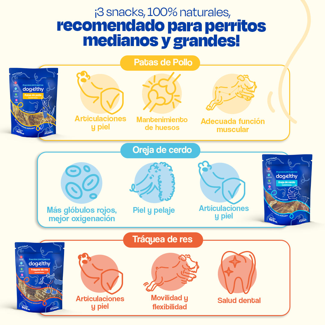 Kit de 3 Premios Deshidratados para Perros de Razas Grandes