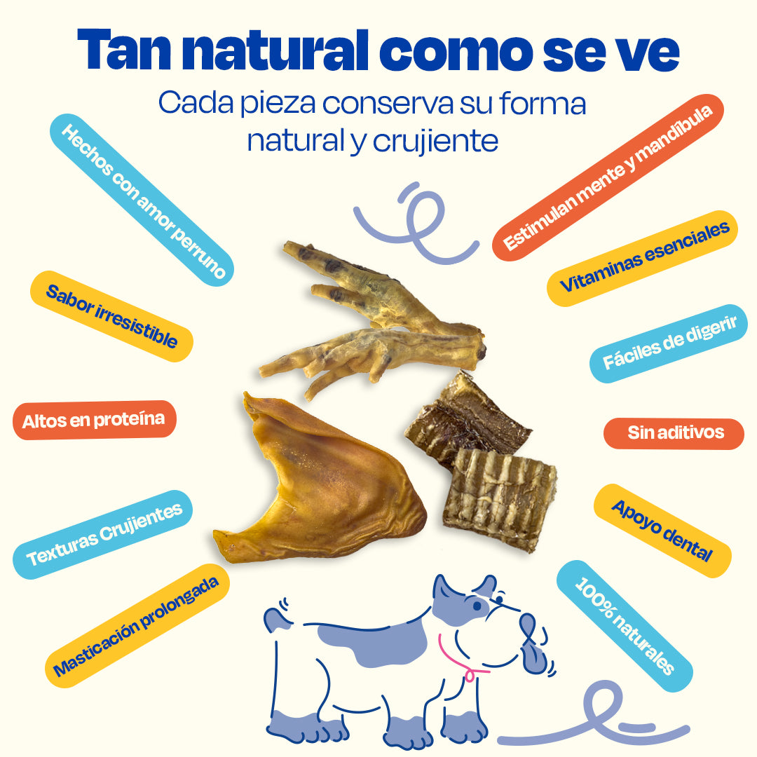 Kit de 3 Premios Deshidratados para Perros de Razas Grandes