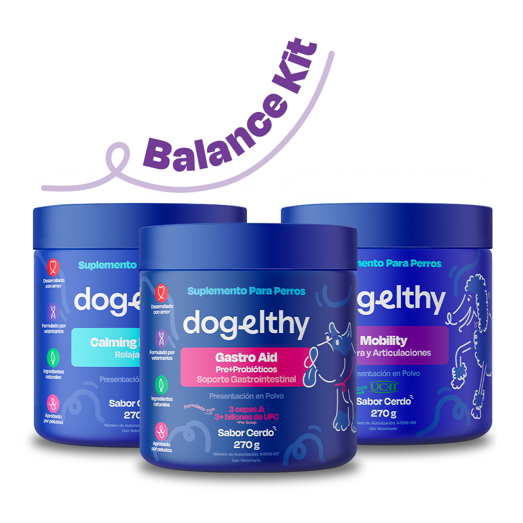 Kit Balance sabor Cerdo para Perro