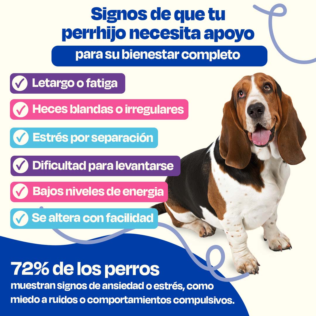 Kit Balance sabor Cerdo para Perro