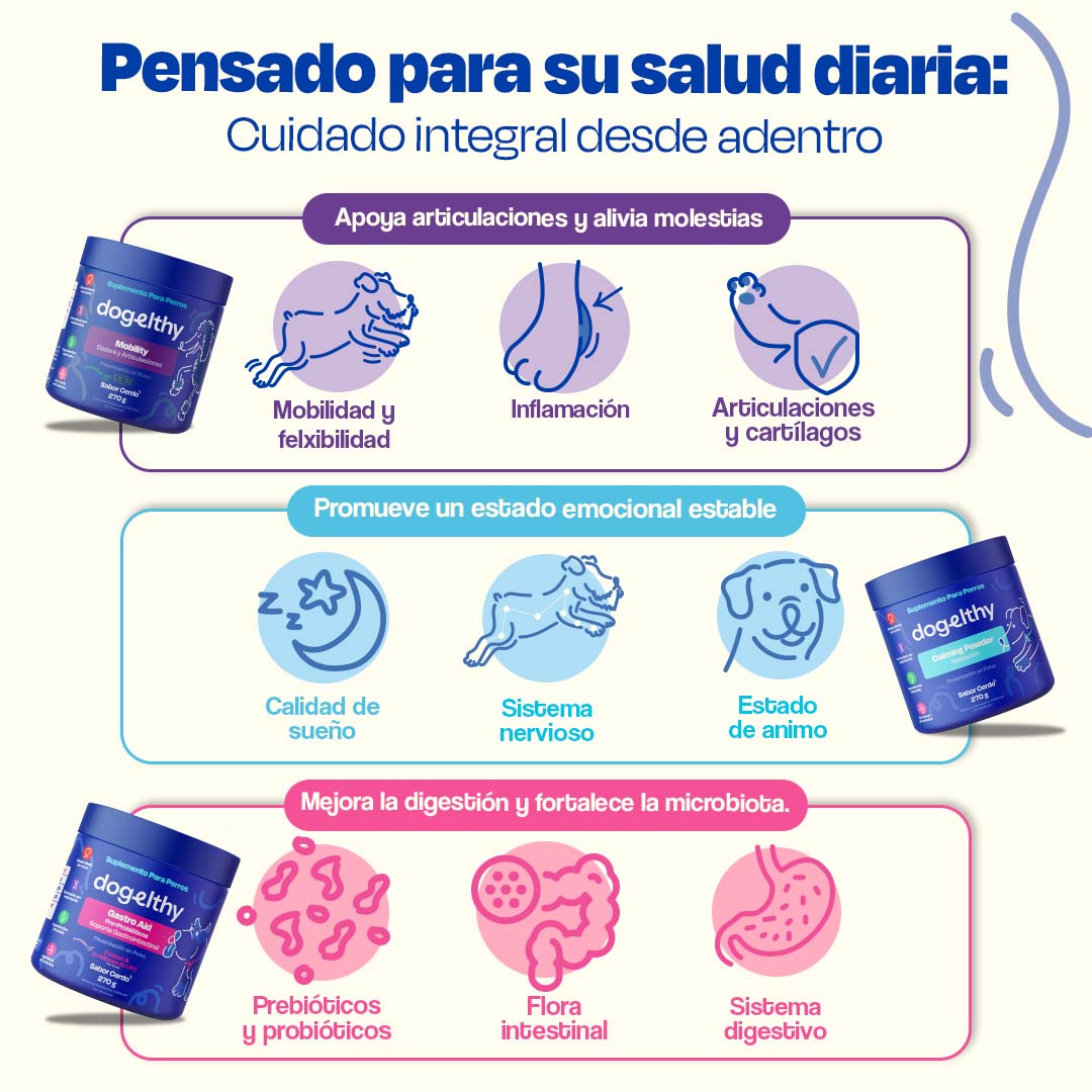 Kit Balance sabor Cerdo para Perro
