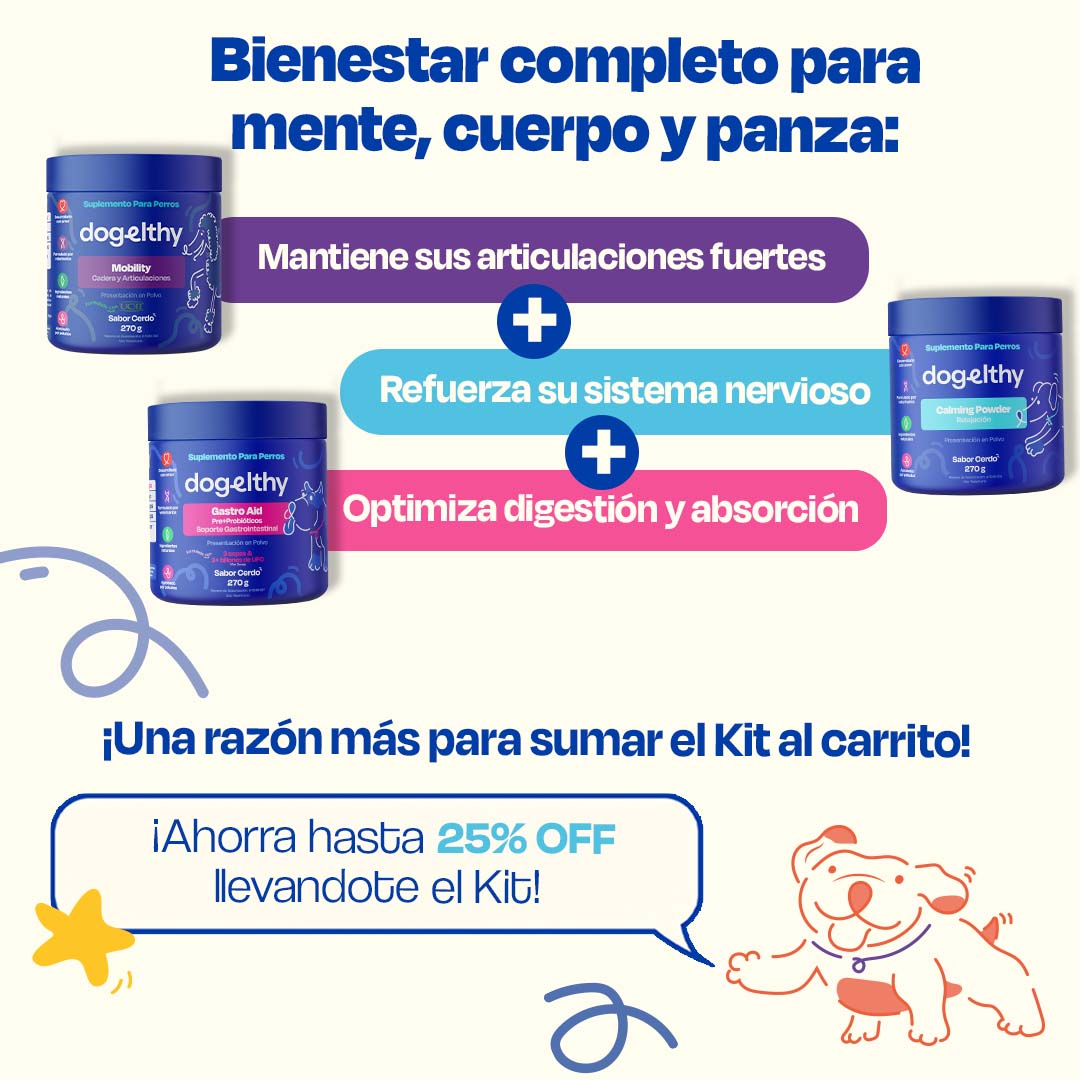 Kit Balance sabor Cerdo para Perro