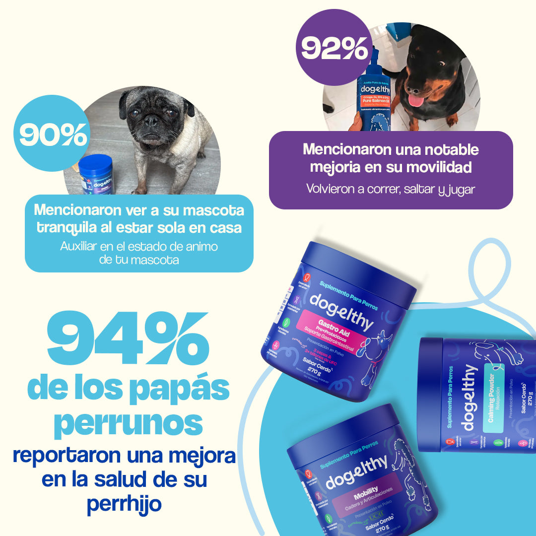 Kit Balance sabor Cerdo para Perro