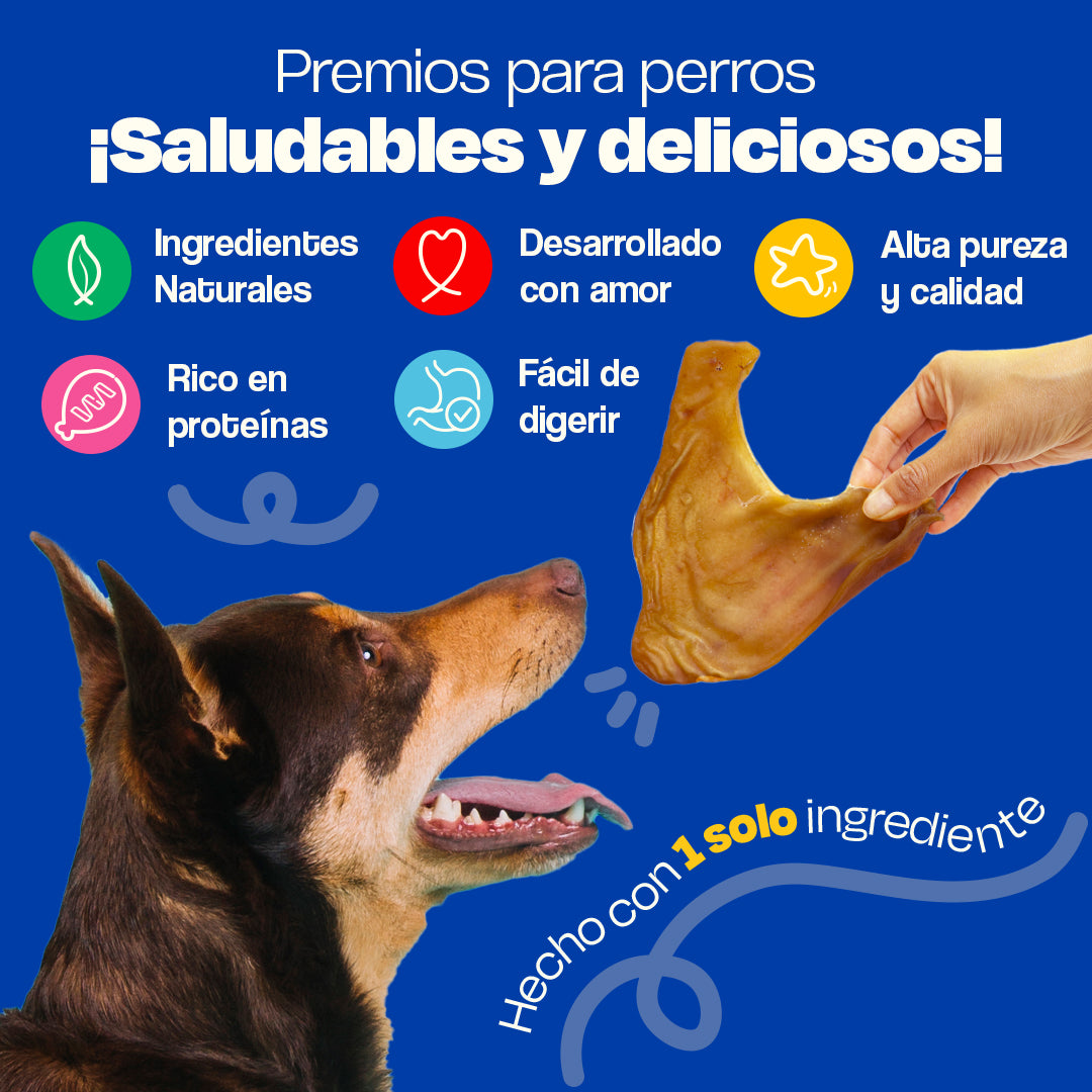 Orejas de Cerdo Deshidratadas (Tamaño=5 Piezas)