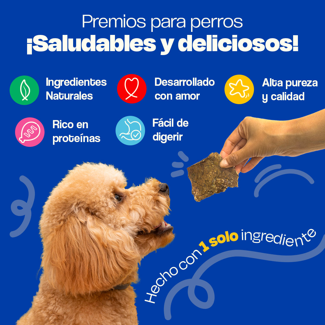 Pulmón de Res Deshidratado