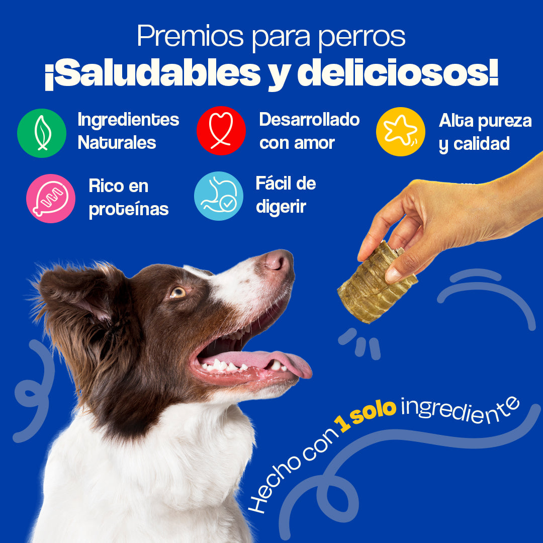 Tráquea de Res Deshidratada