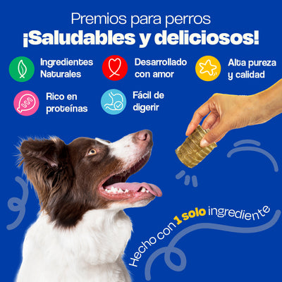 Tráquea de Res Deshidratada