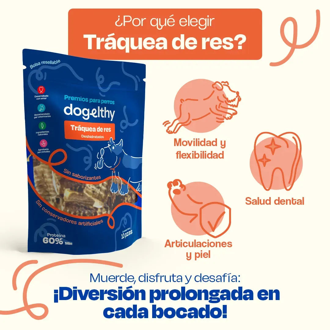 Traquea de Res Deshidratada