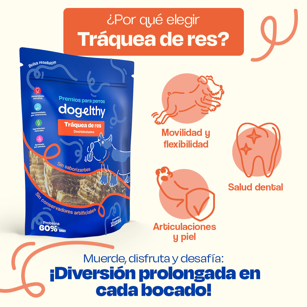 Tráquea de Res Deshidratada