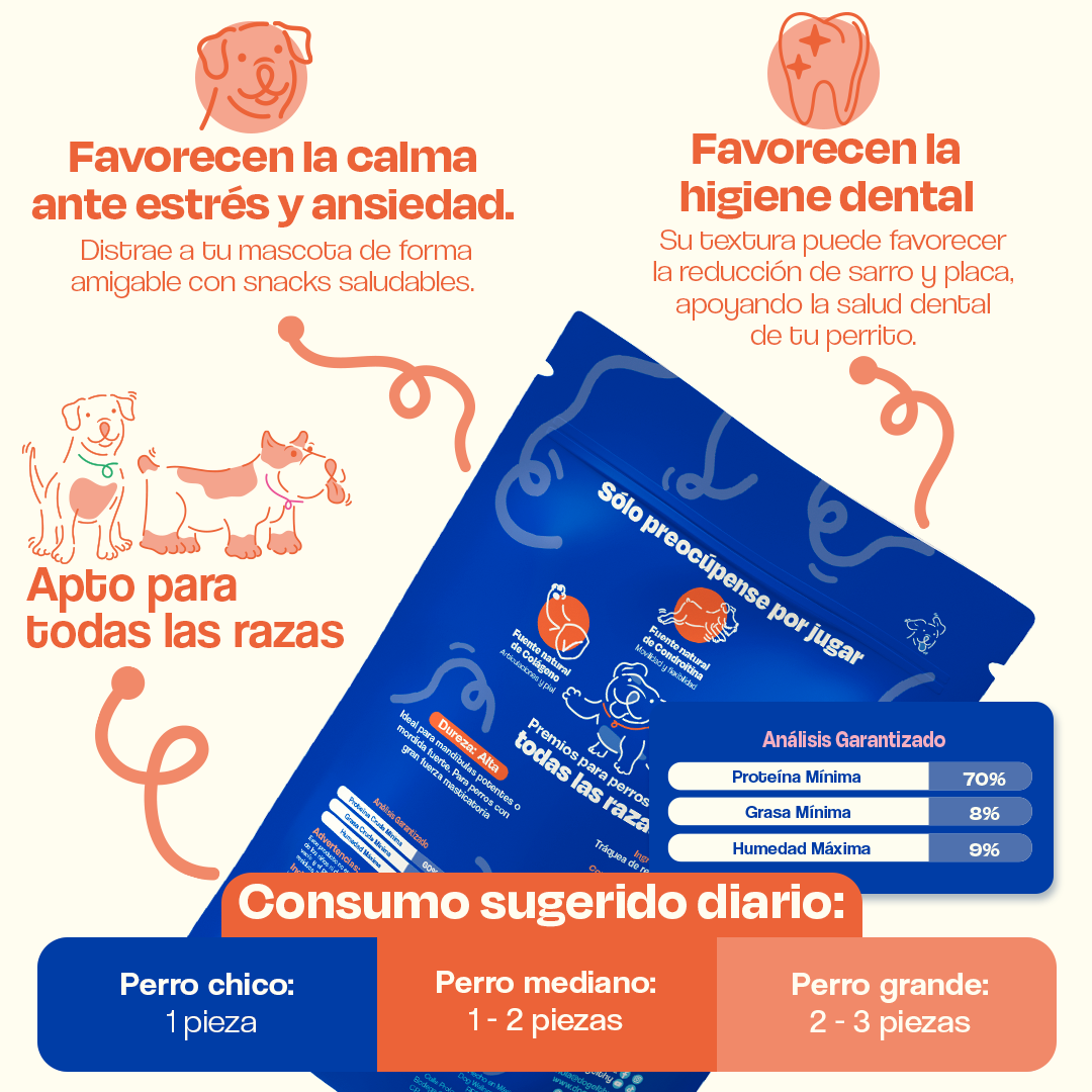 Tráquea de Res Deshidratada