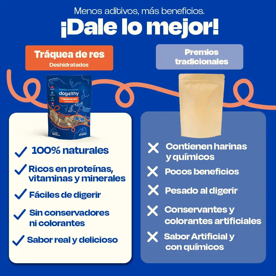 Traquea de Res Deshidratada