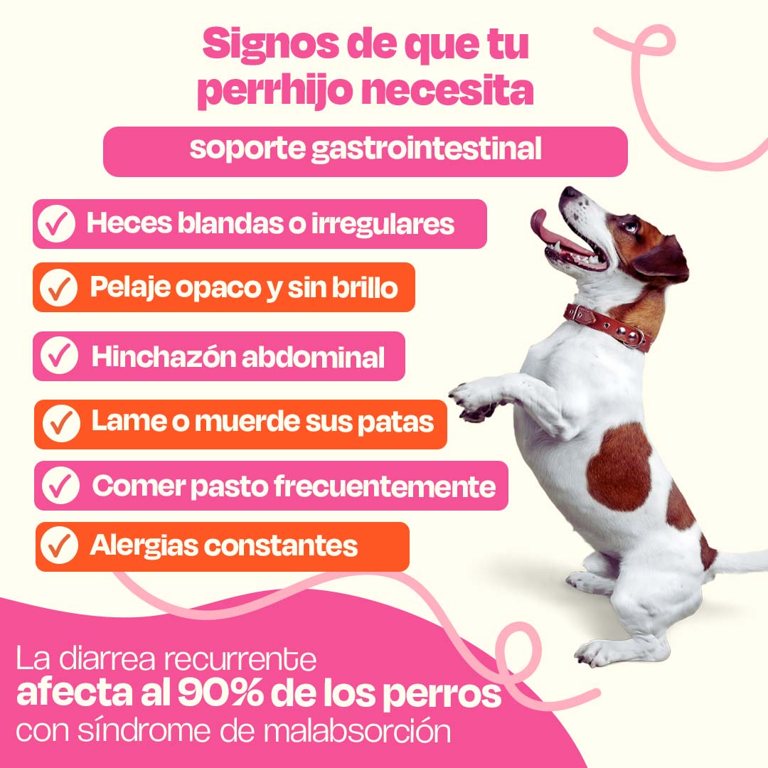 Kit Sistema Digestivo para Perros - Happy Belly Kit