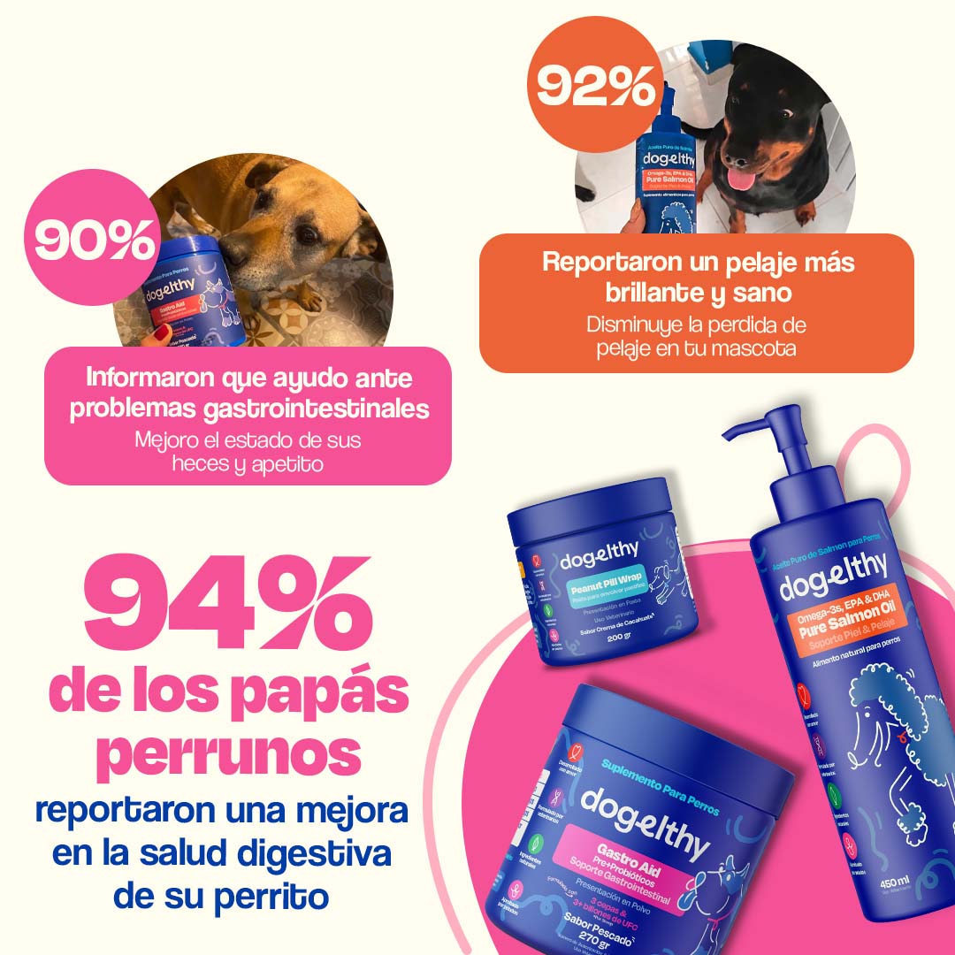 Kit Sistema Digestivo para Perros - Happy Belly Kit