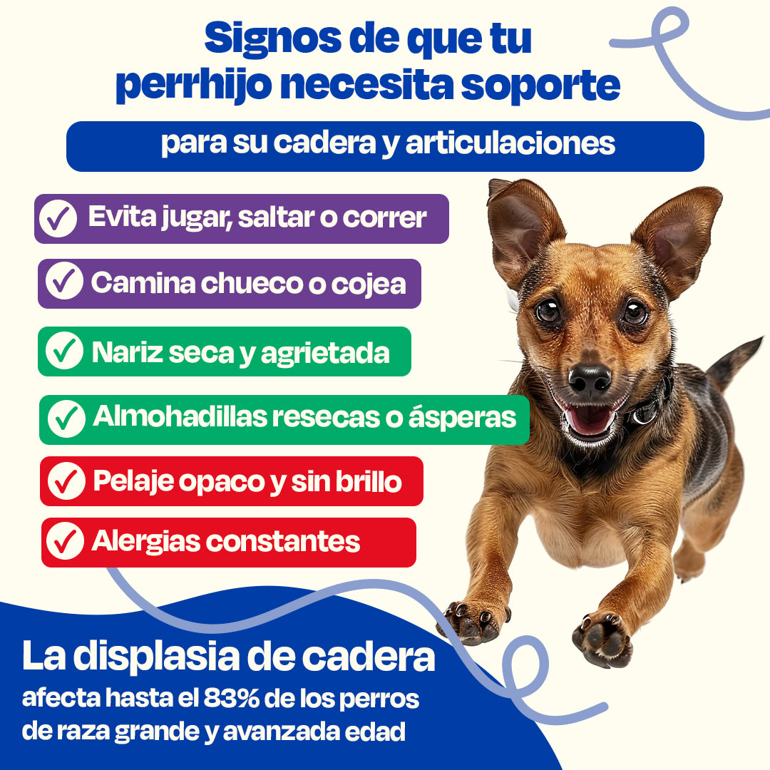 Kit para Articulaciones con Aceite de Sardina para Perros (Sabor=Pescado)