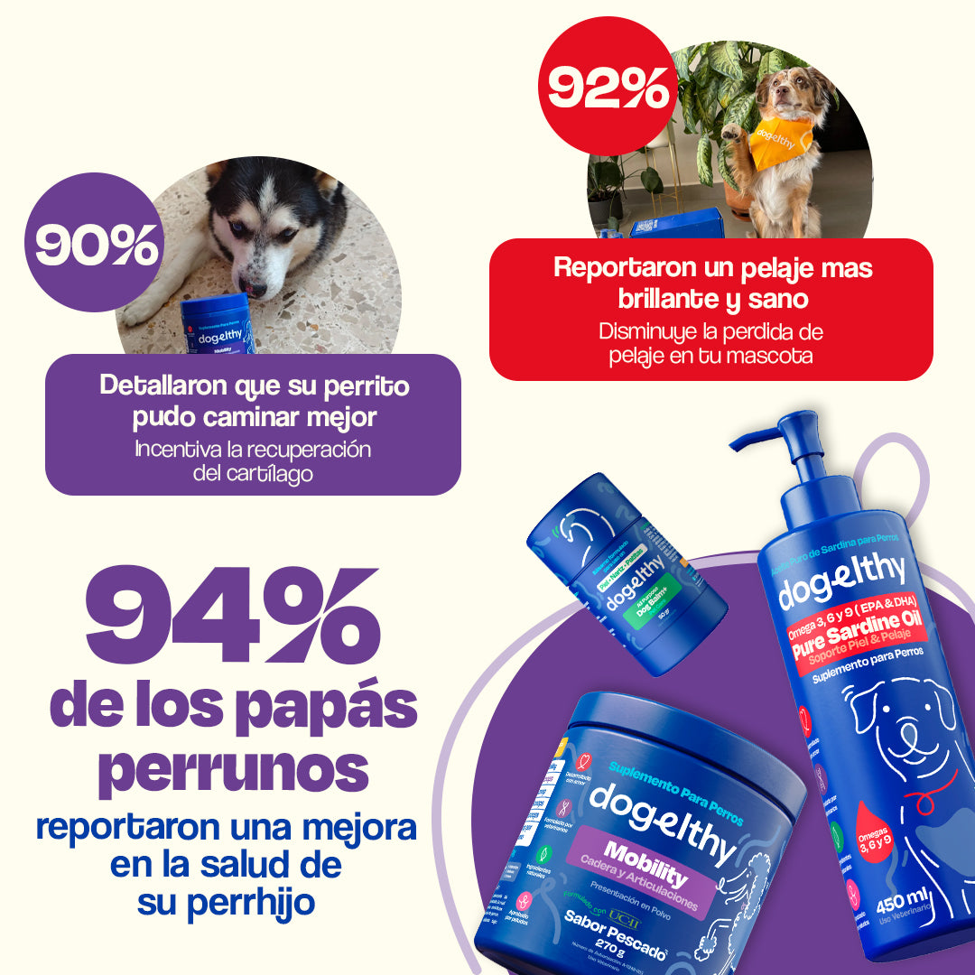 Kit para Articulaciones con Aceite de Sardina para Perros (Sabor=Pescado)