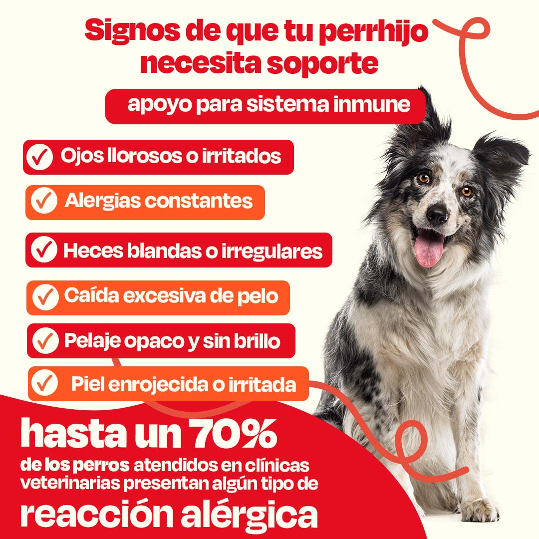 Kit de Allergy Blend + Pure Salmon Oil