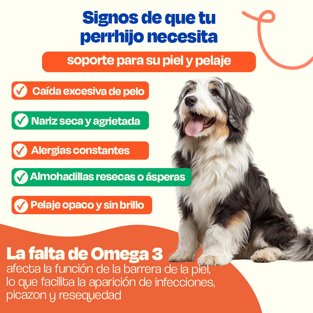 Kit de Omega 3 sabor Cerdo para Perros