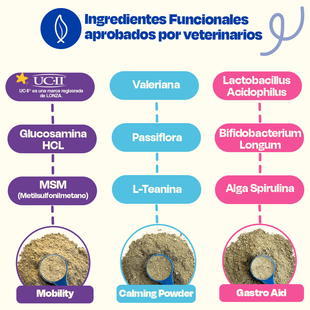 Kit del Perro Sano sabor Cerdo