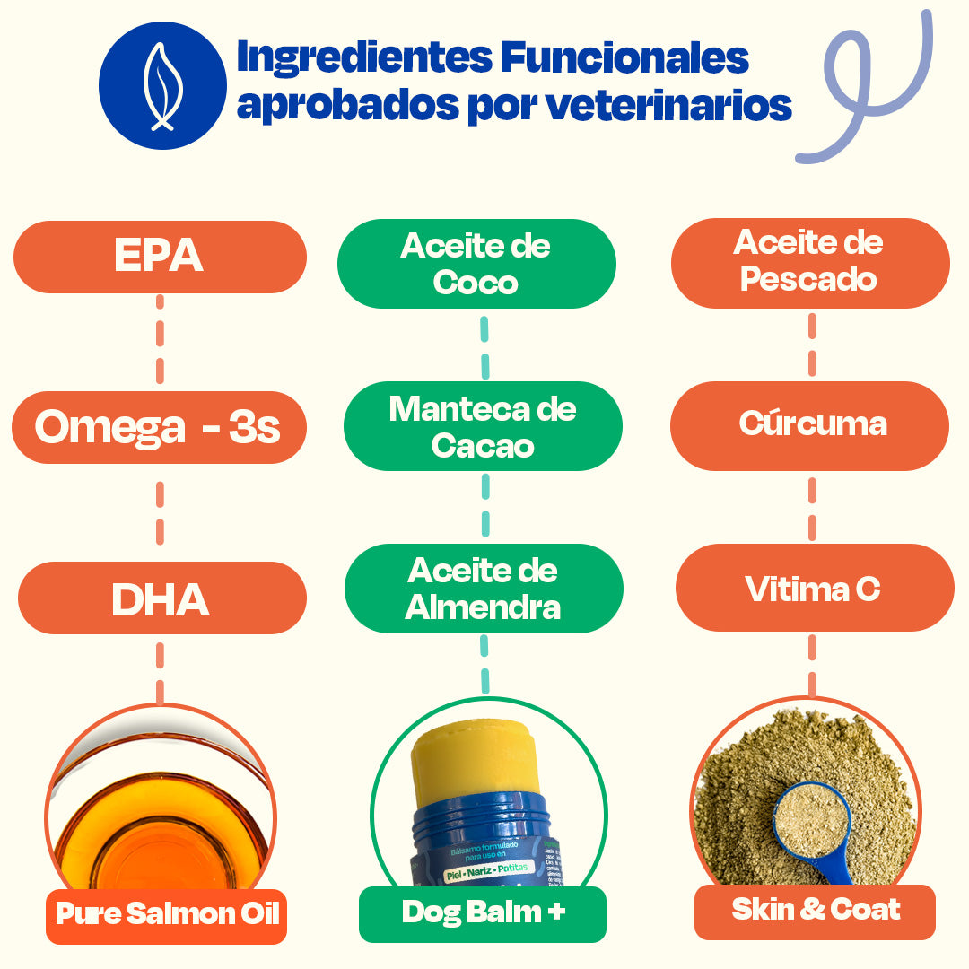 Kit del Perro Sano sabor Cerdo