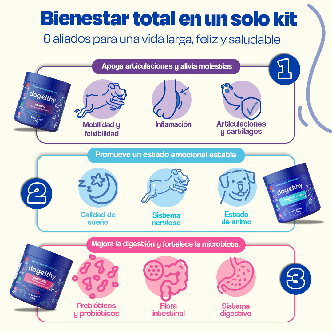 Kit del Perro Sano sabor Cerdo