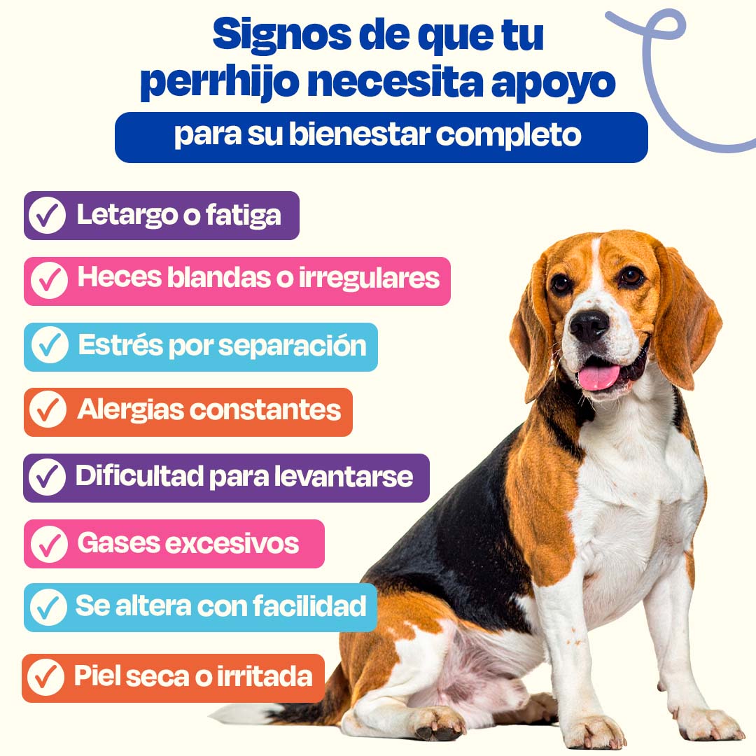 Kit Multivitaminico para Perro - Wellness Kit