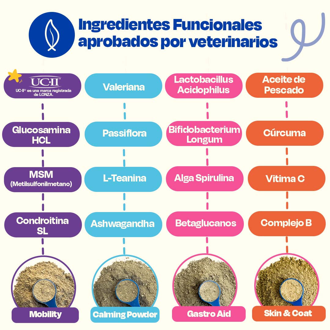 Kit Multivitaminico para Perro - Wellness Kit