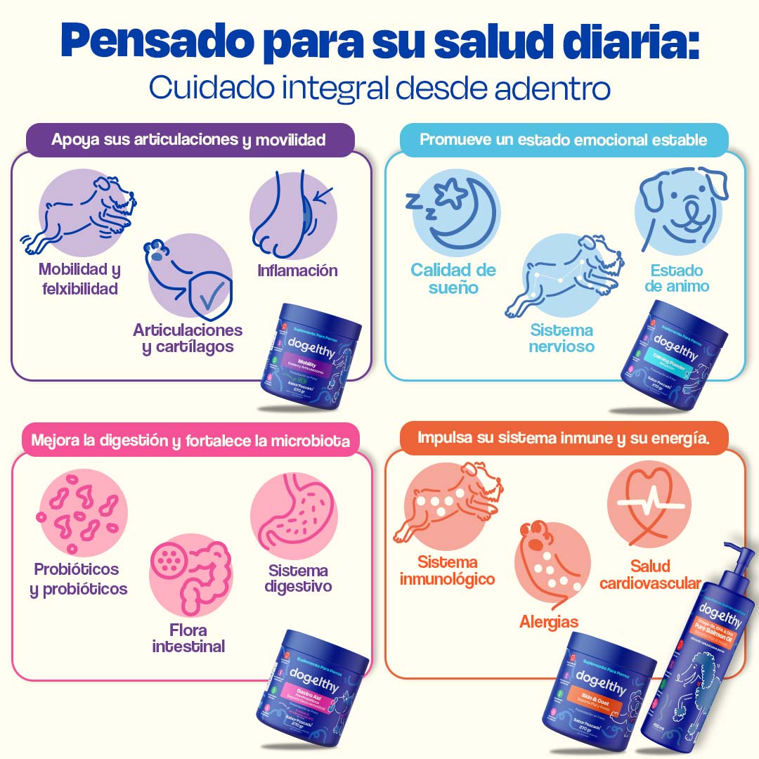 Kit Multivitaminico para Perro - Wellness Kit